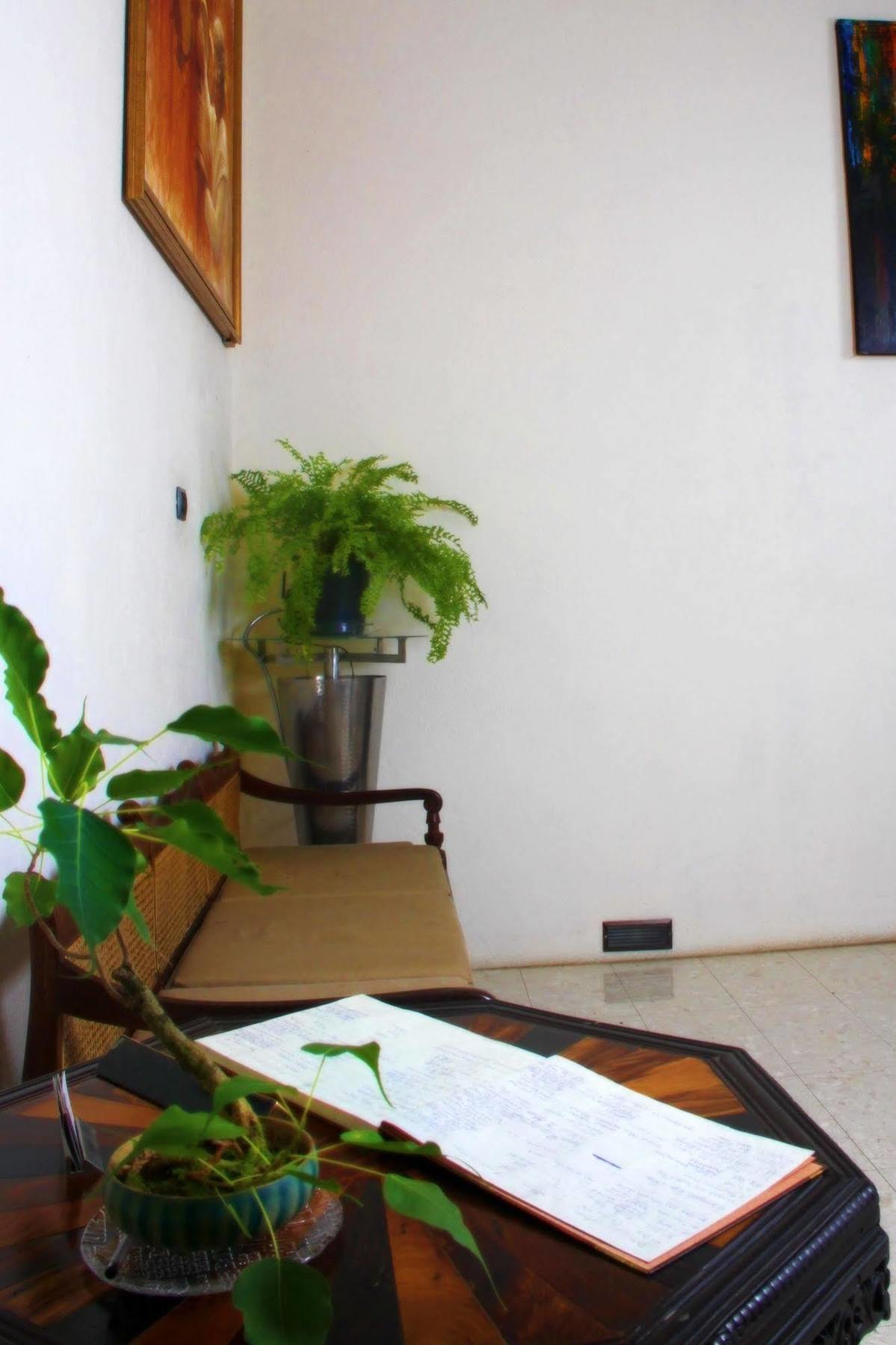 Lodge 19 Negombo Exteriör bild